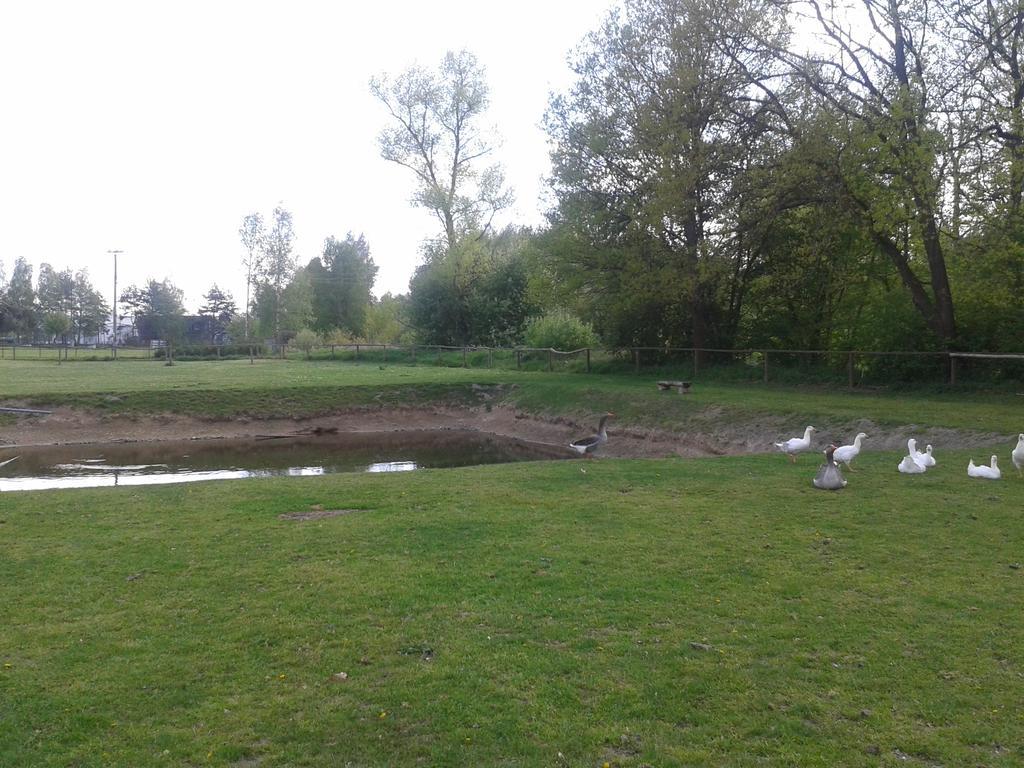 Chata Zahrada Madeta Veselí nad Lužnicí 외부 사진