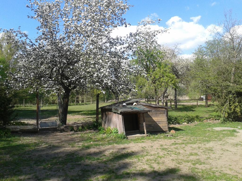 Chata Zahrada Madeta Veselí nad Lužnicí 외부 사진