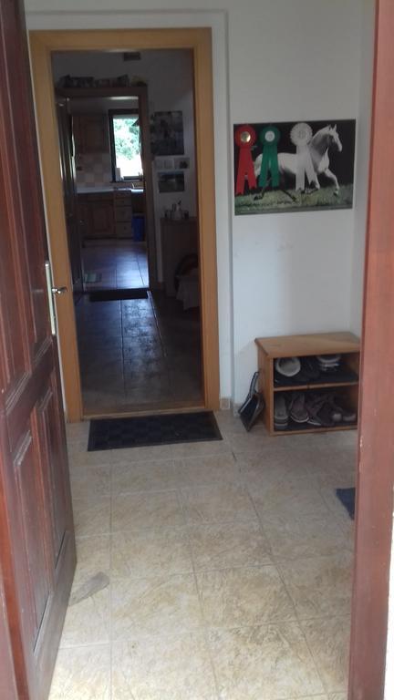 Chata Zahrada Madeta Veselí nad Lužnicí 외부 사진
